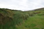 PICTURES/Dingle Peninsula - Fahen Beehive Huts & Dun Beag Fort/t_DSC05315.JPG